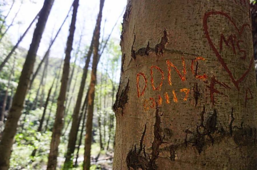 17343003_10212298176711509_2912543255800124616_n