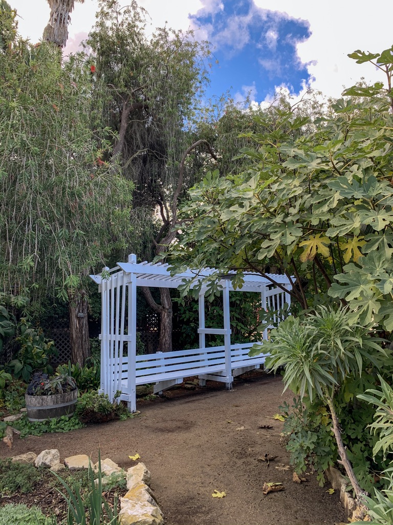 UNADJUSTEDNONRAW_thumb_16